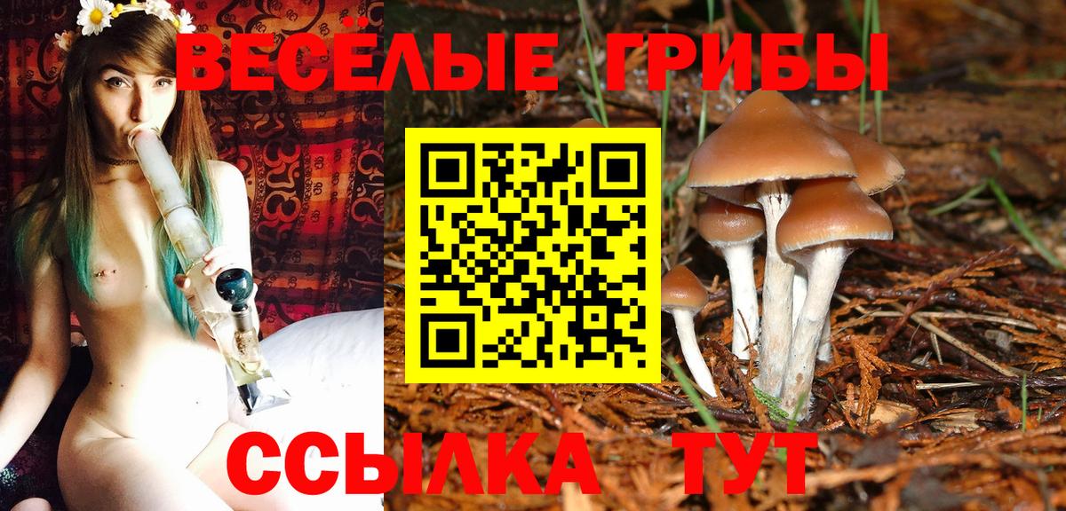 Псилоцибиновые грибы GOLDEN TEACHER Тайшет