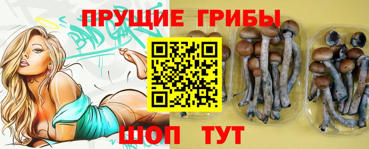 Псилоцибиновые грибы ЛСД  Псилоцибиновые грибы Magic Shrooms  Вход с VPN  Тайшет 